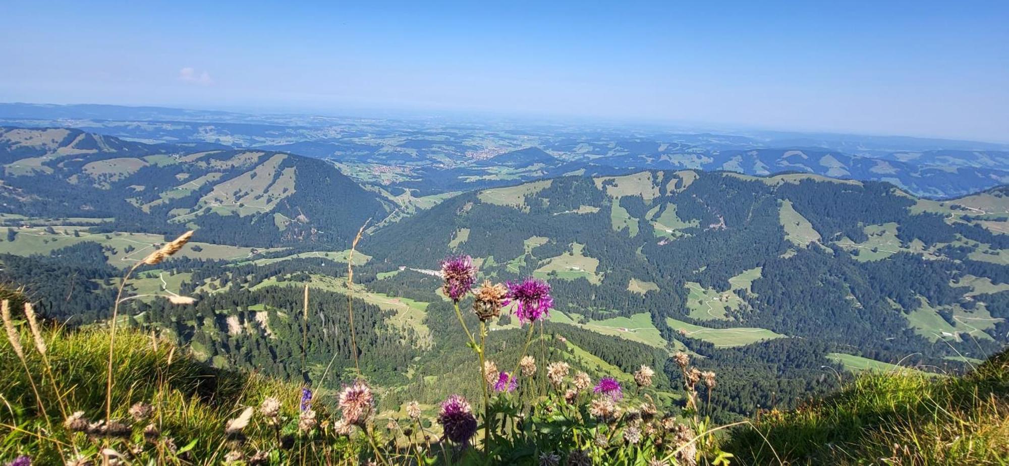 Exklusive Fewo Allgaeustern Steibis Mit Wlan Sauna Kamin Und Oberstaufen Plus Card Exterior foto